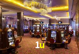 Programa VIP 1u