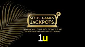 1u
