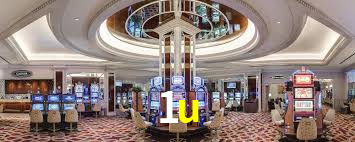 1u plataforma