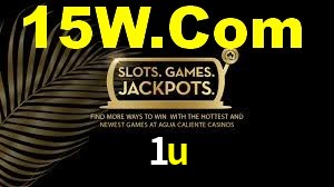 1u.com